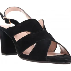 Aerobics Blue Black