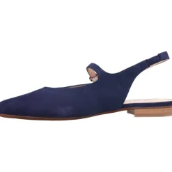 Aerobics Pointy Mary Suede Blue