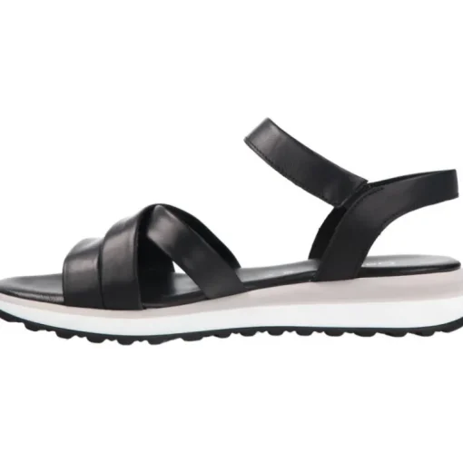 Gabor Assy Black