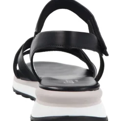 Gabor Assy Black