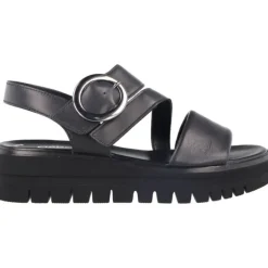 Gabor Duca Black