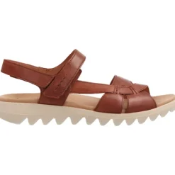 Gabor Feethi Camel