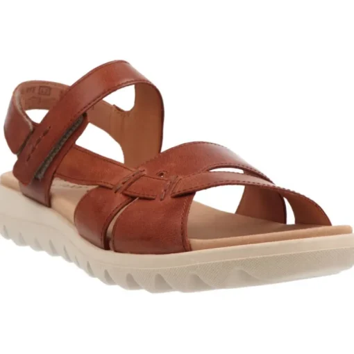 Gabor Feethi Camel
