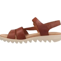 Gabor Feethi Camel