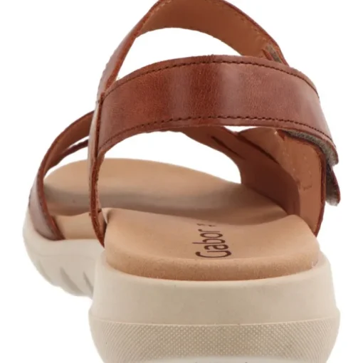 Gabor Feethi Camel