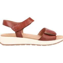 Gabor Glora Camel