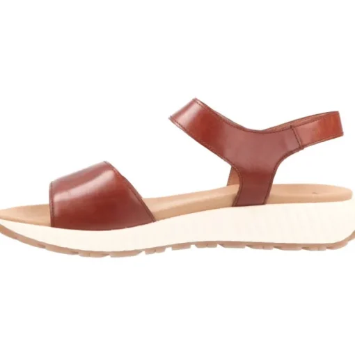 Gabor Glora Camel