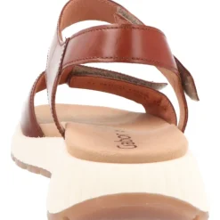 Gabor Glora Camel