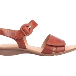 Gabor Nicole Camel