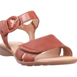 Gabor Nicole Camel