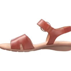 Gabor Nicole Camel