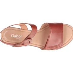 Gabor Nicole Camel