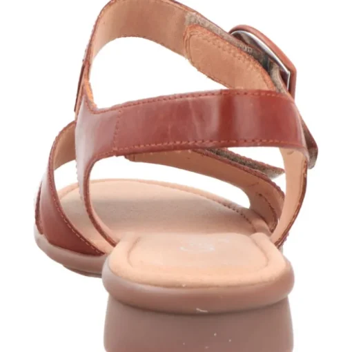 Gabor Nicole Camel