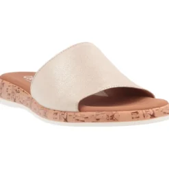 Gabor Salou Torta